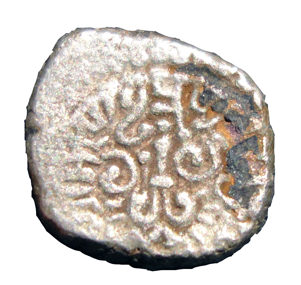 Coin reverse image