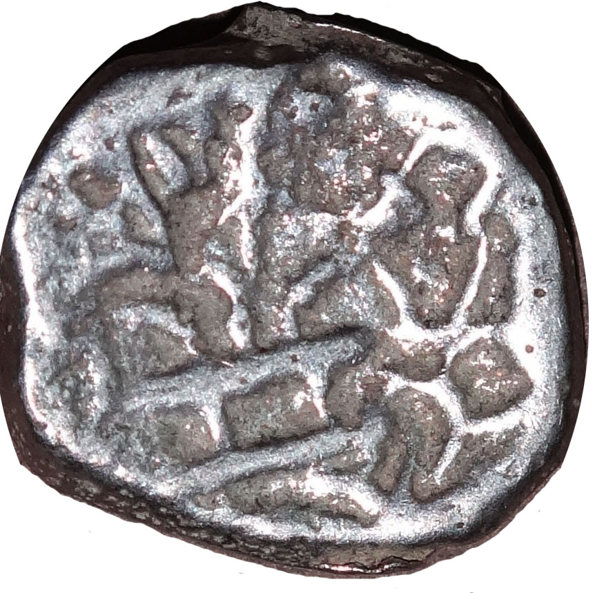 Coin reverse image