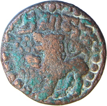 Coin reverse image