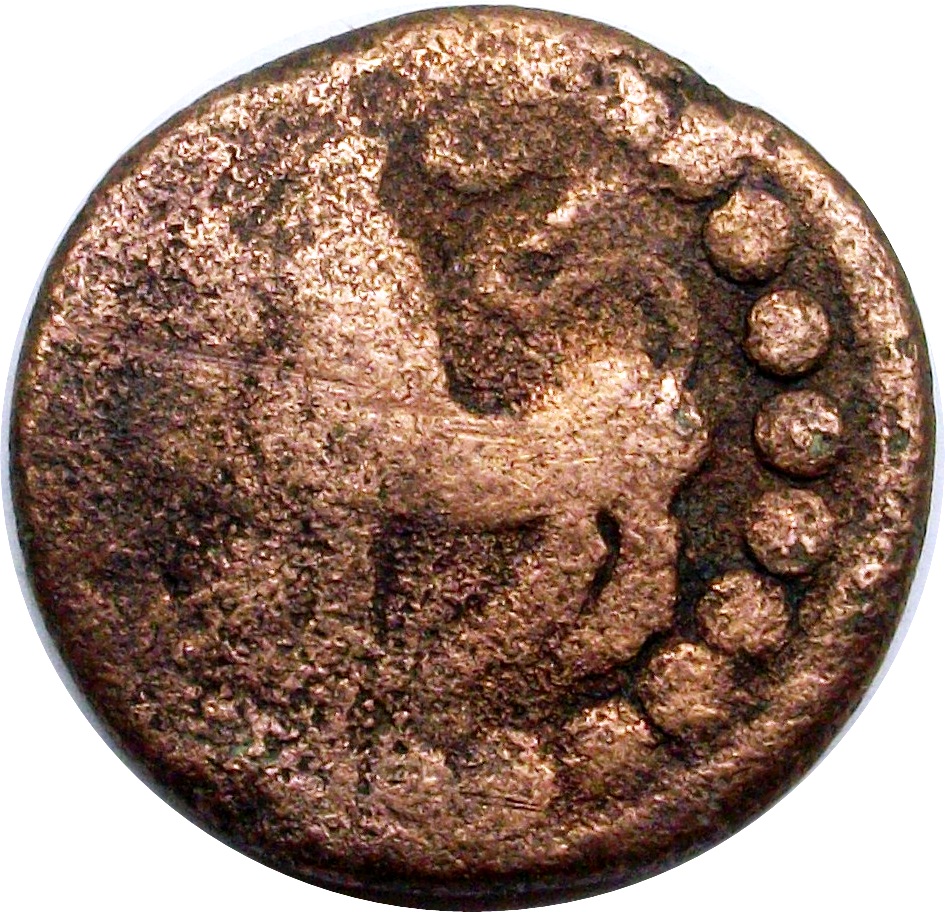 Coin reverse image