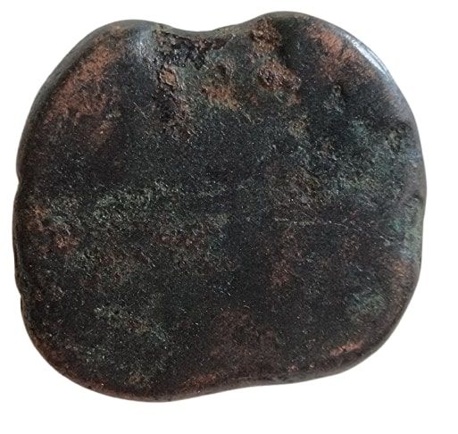Coin reverse image
