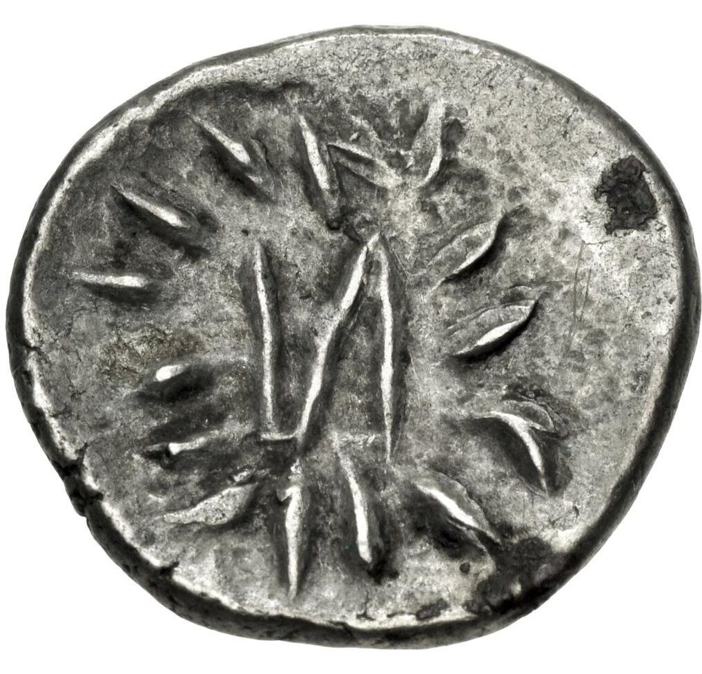 Coin reverse image