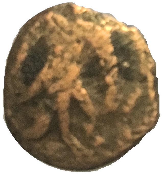 Coin obverse image