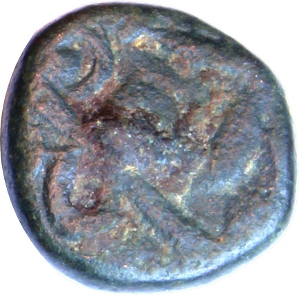 Coin reverse image
