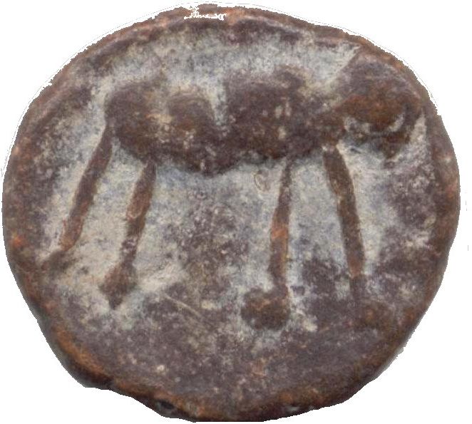 Coin obverse image