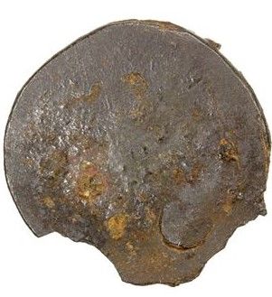 Coin reverse image