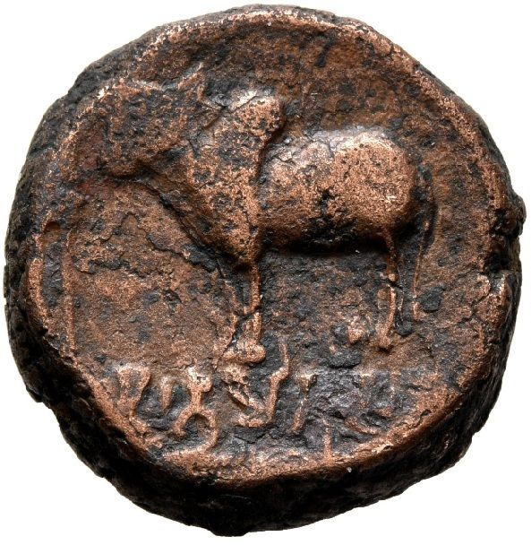 Coin obverse image