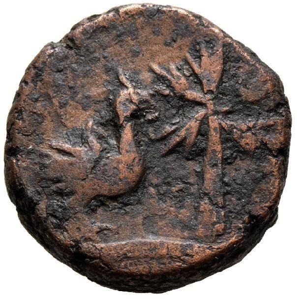 Coin reverse image