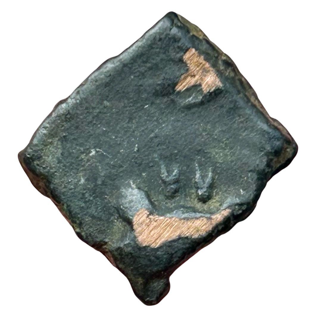 Coin reverse image