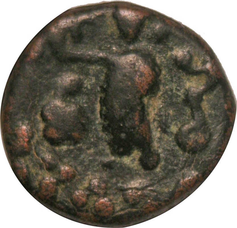 Coin reverse image