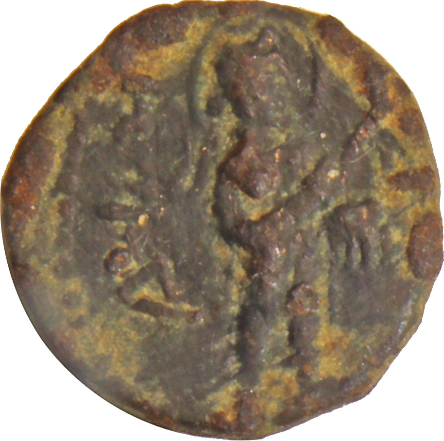 Coin reverse image