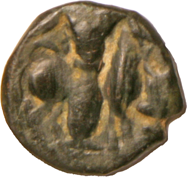 Coin reverse image