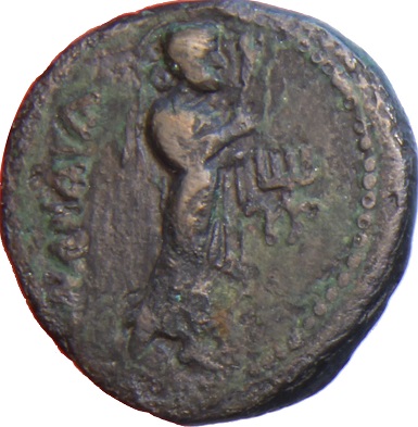 Coin reverse image
