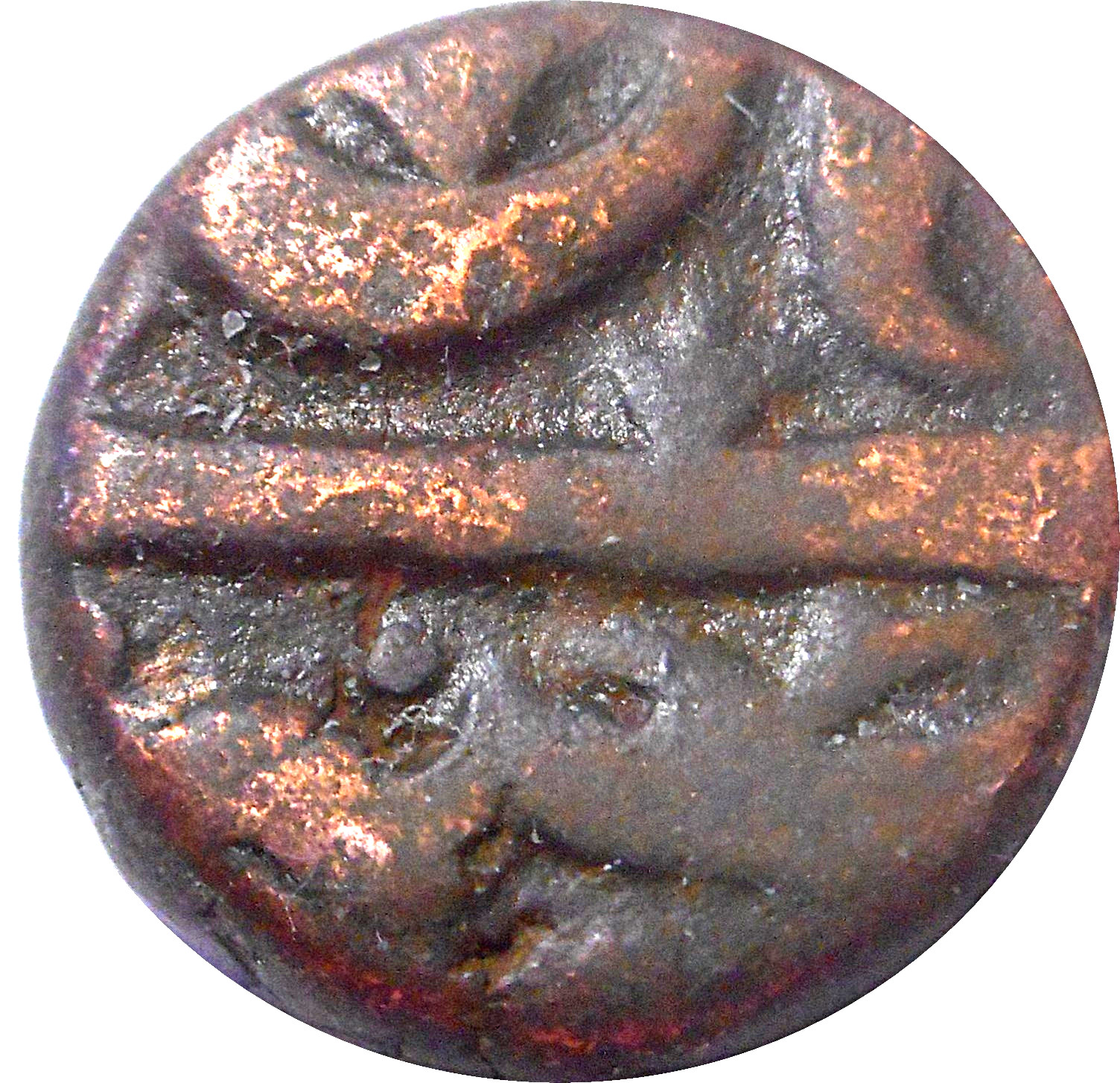 Coin reverse image