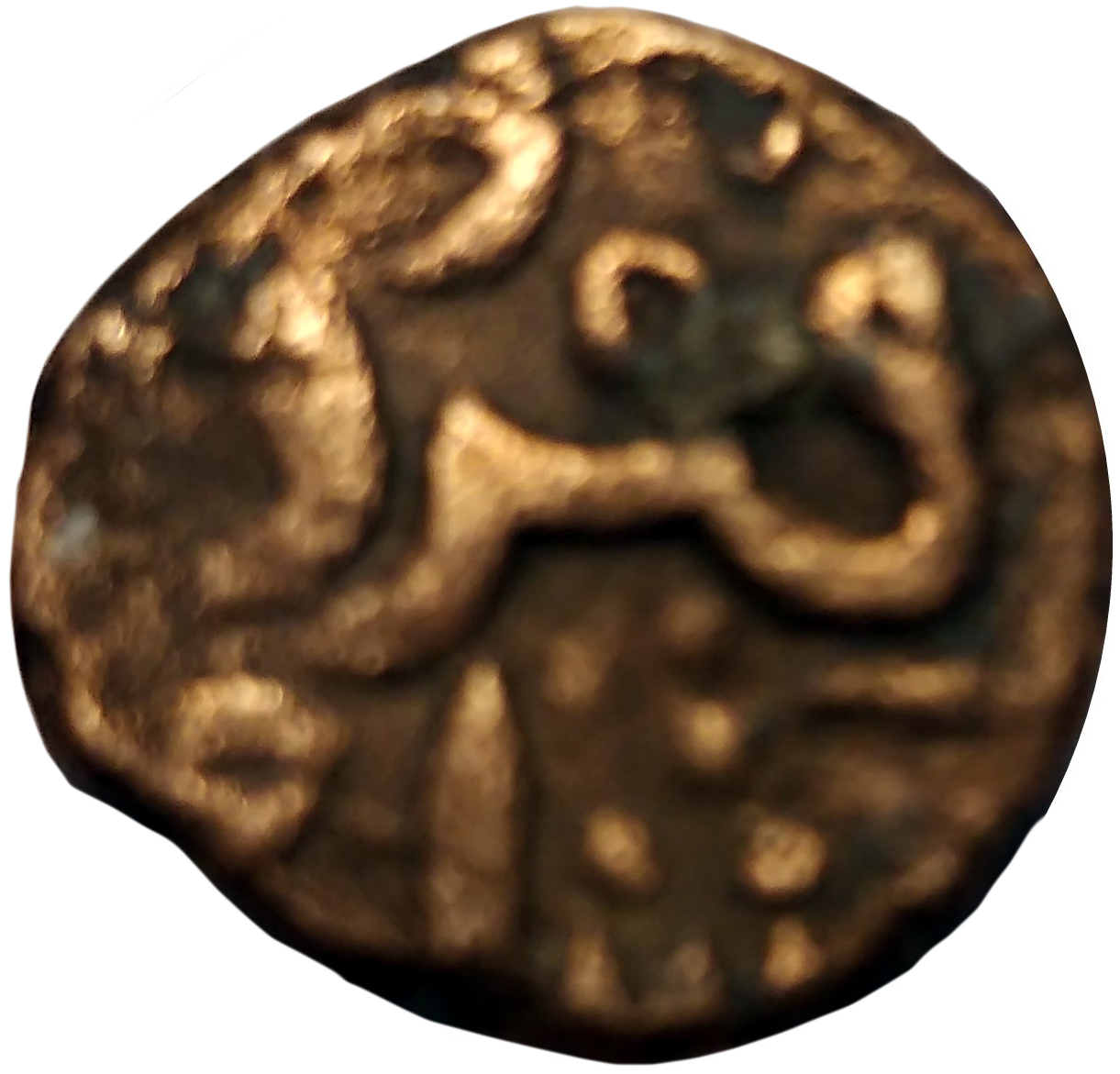 Coin reverse image