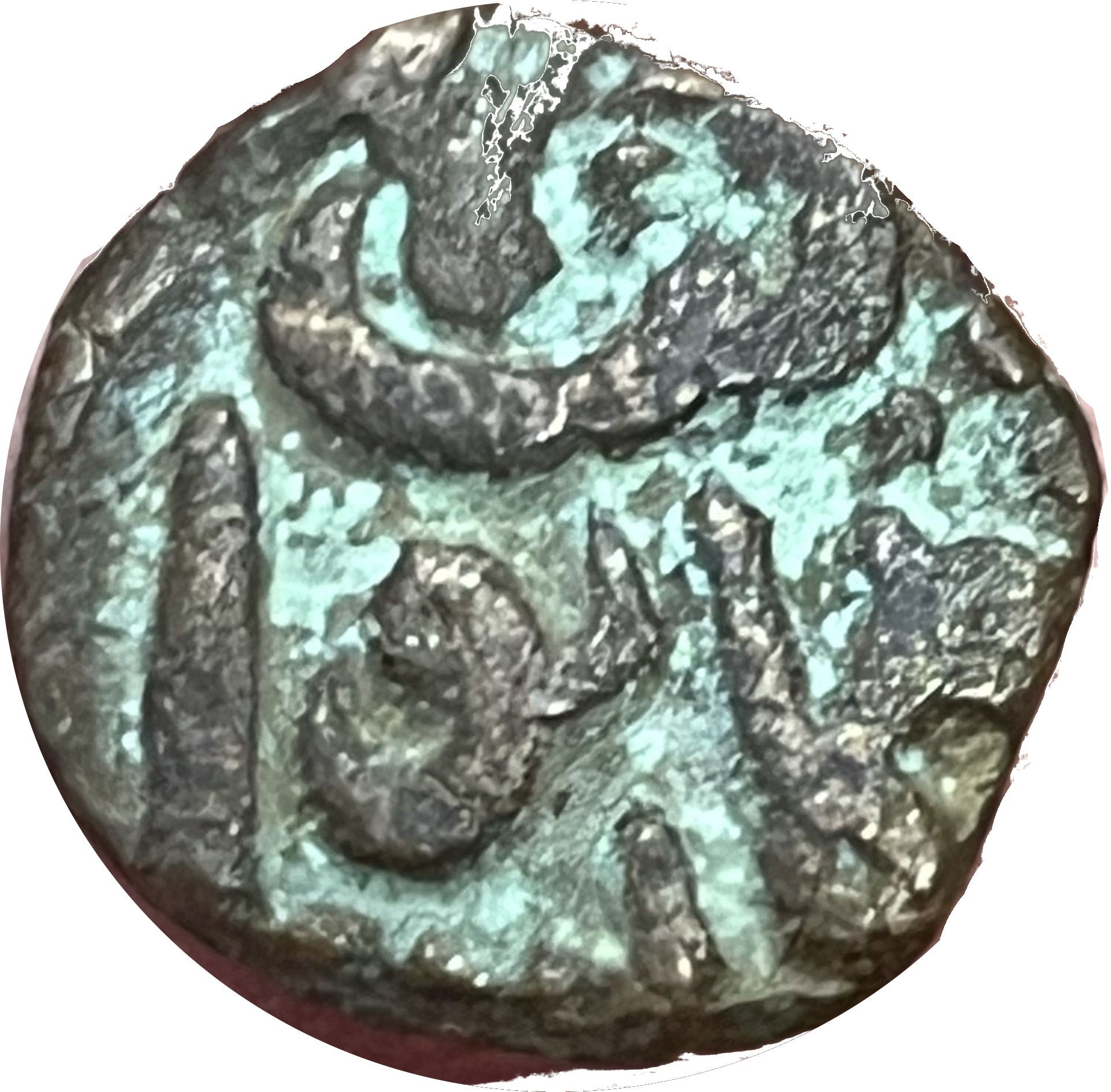 Coin reverse image