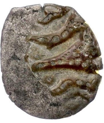 Coin reverse image