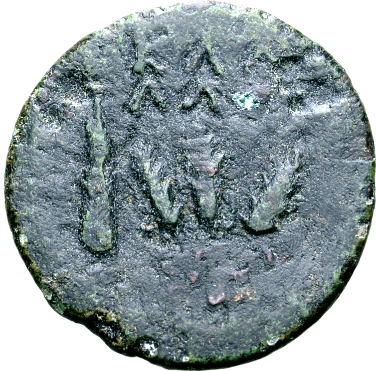 Coin reverse image
