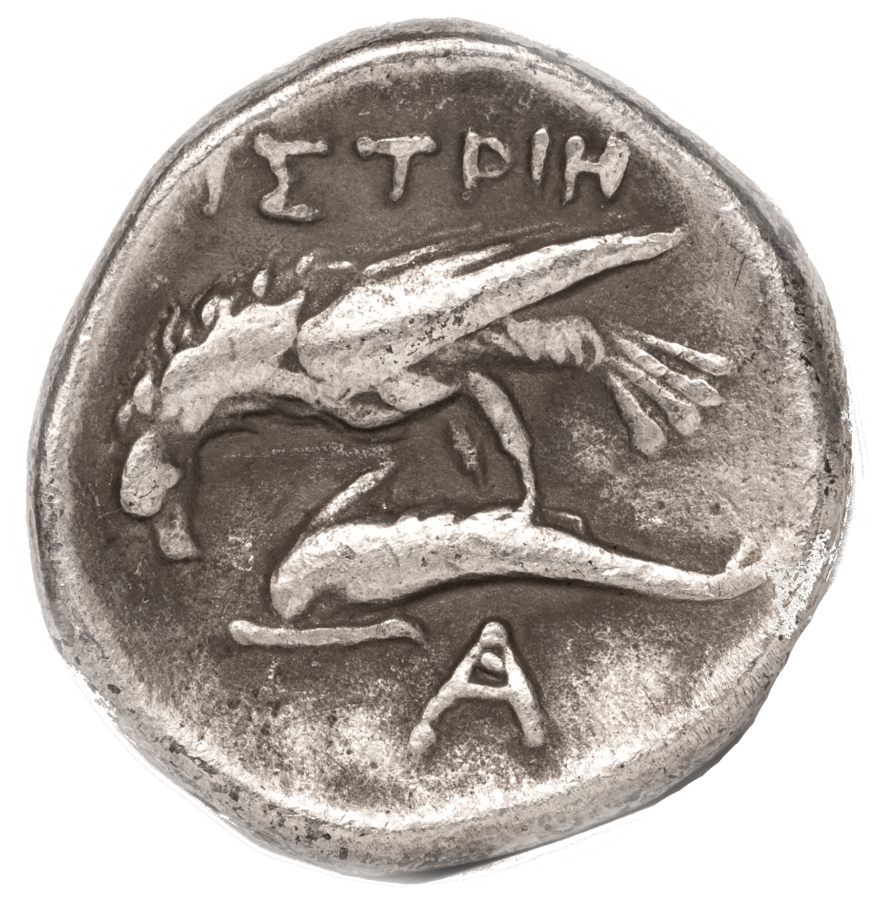 Coin reverse image