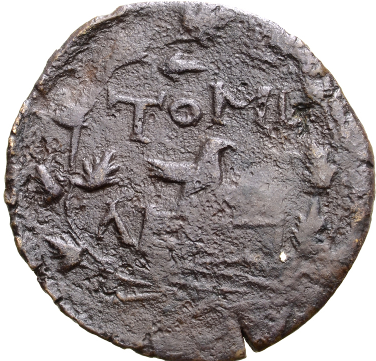 Coin reverse image
