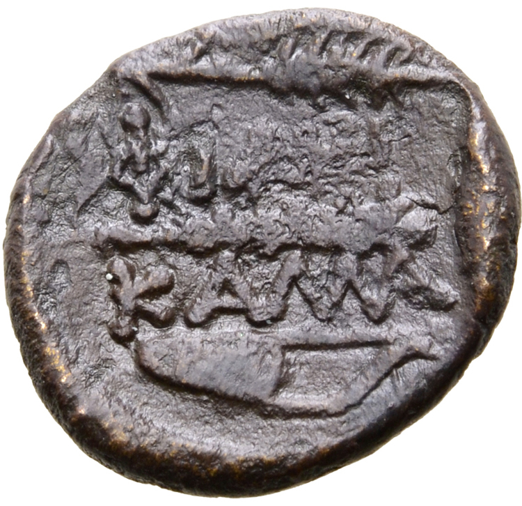 Coin reverse image