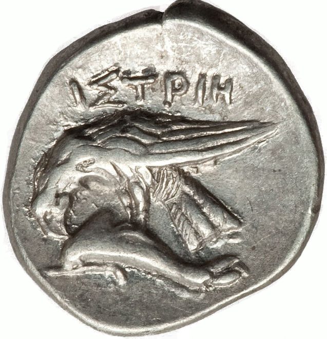 Coin reverse image