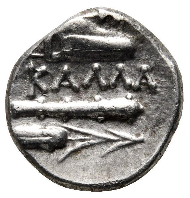 Coin reverse image