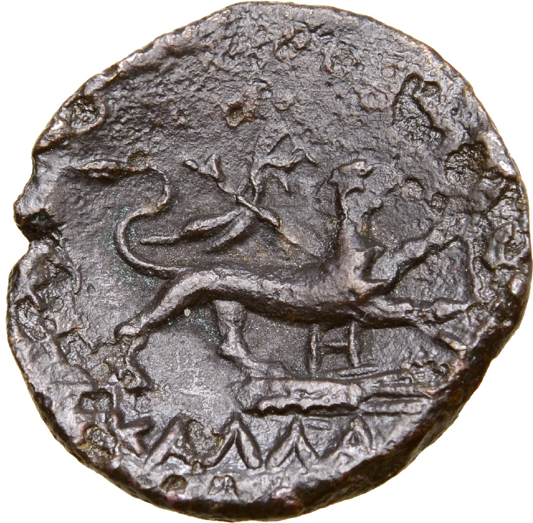Coin reverse image
