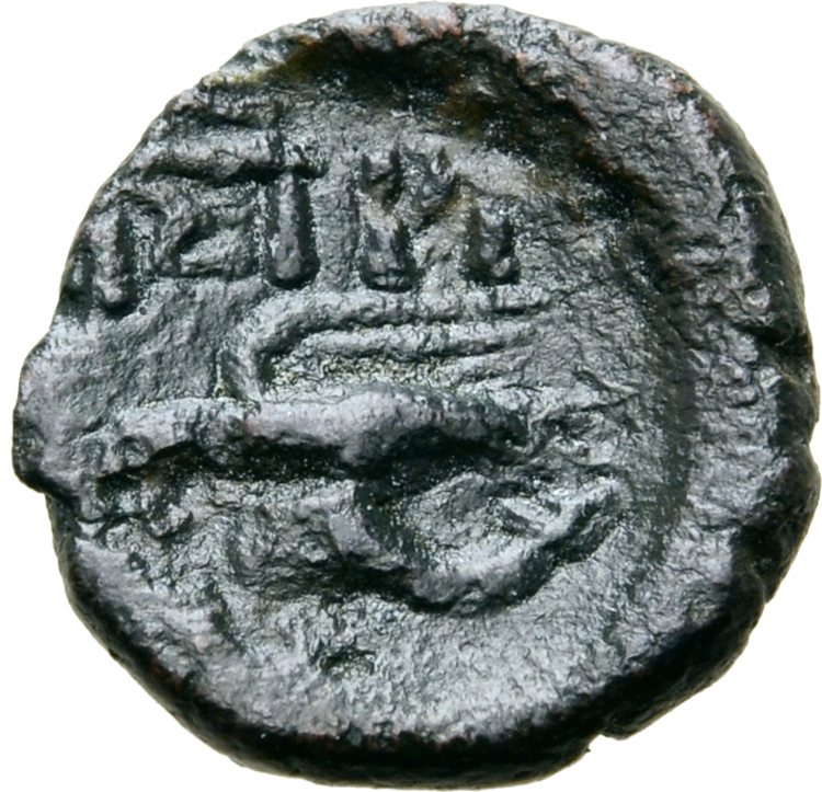 Coin reverse image