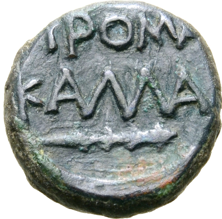 Coin reverse image