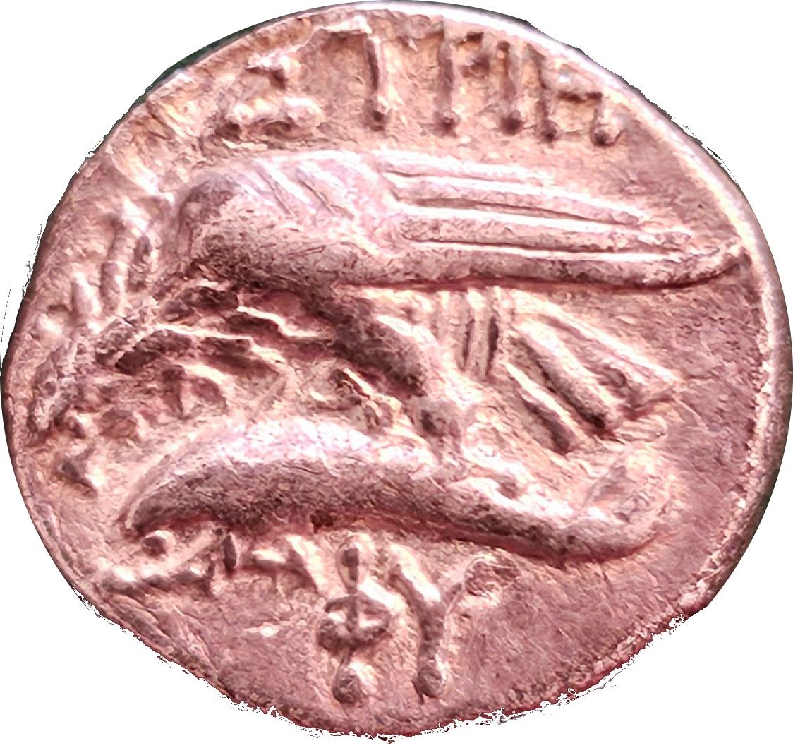 Coin reverse image