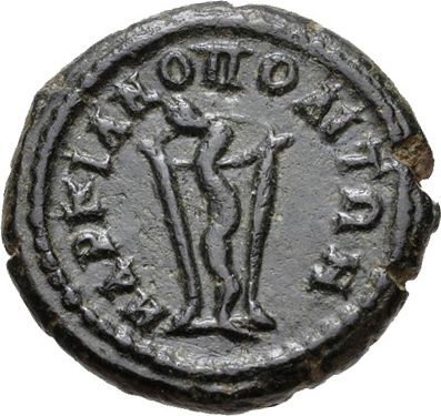 Coin reverse image