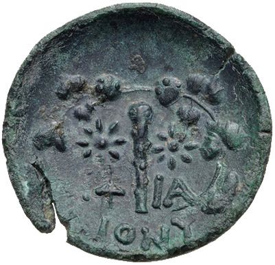 Coin reverse image
