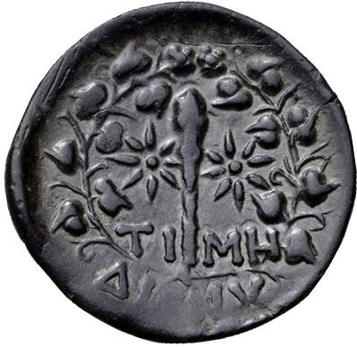 Coin reverse image