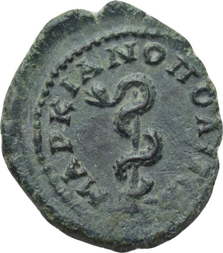 Coin reverse image