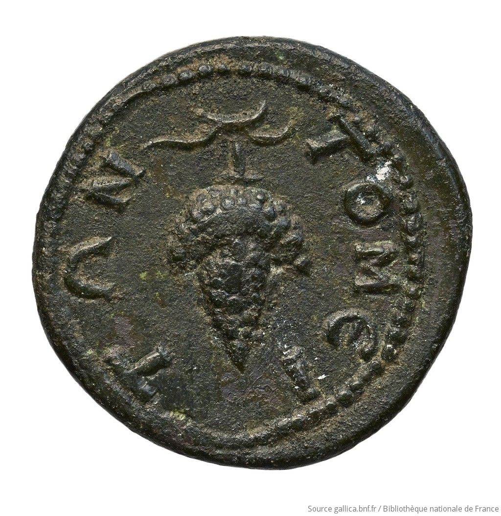 Coin reverse image