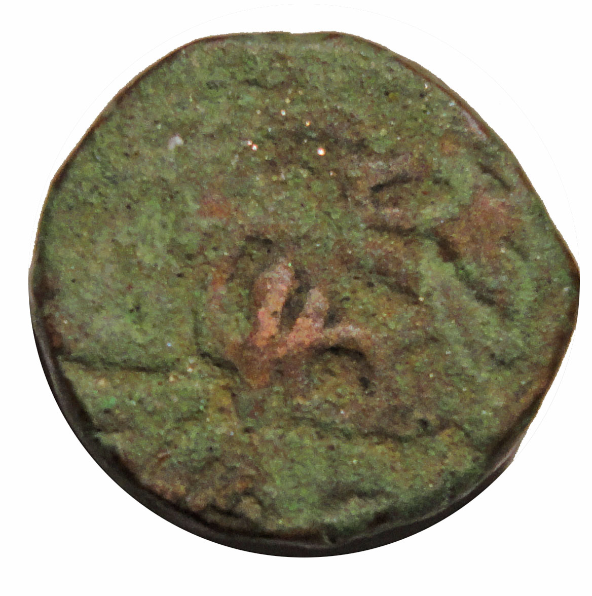 Coin reverse image
