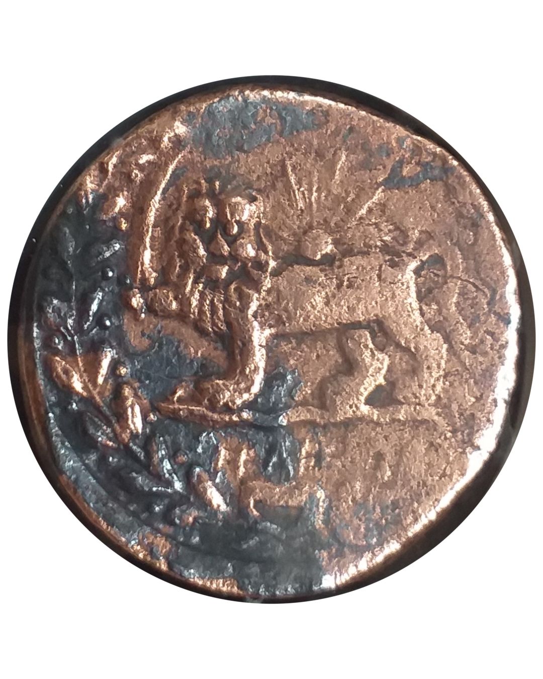 Coin reverse image