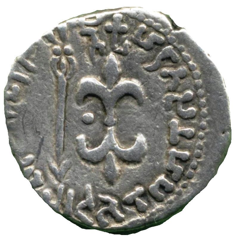 Coin reverse image