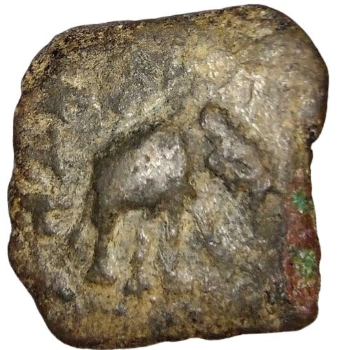 Coin reverse image