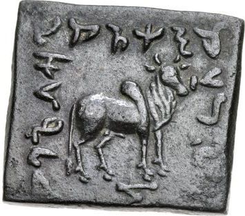 Coin reverse image