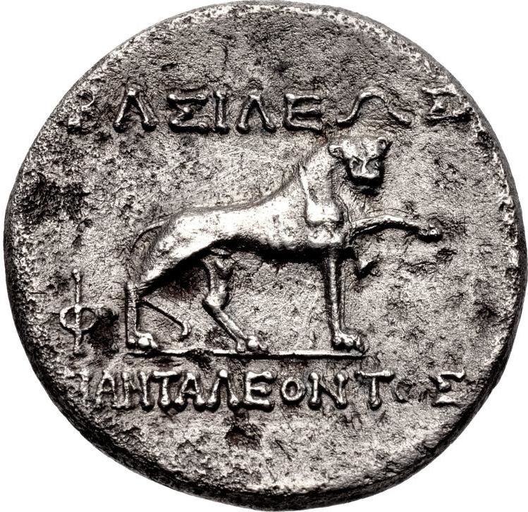 Coin reverse image
