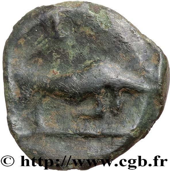 Coin reverse image