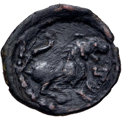 Coin reverse image