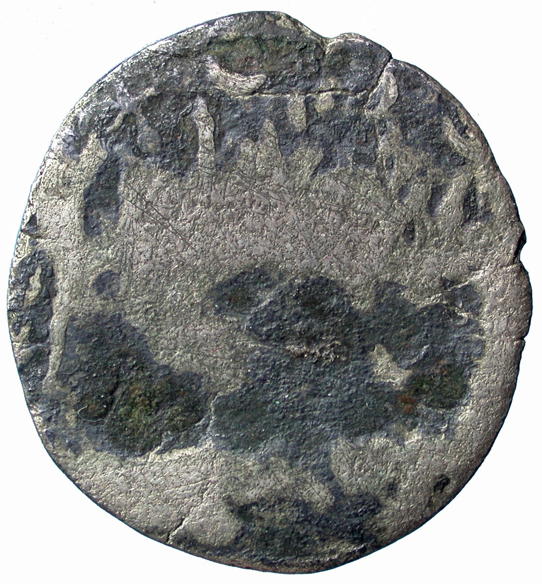 Coin reverse image
