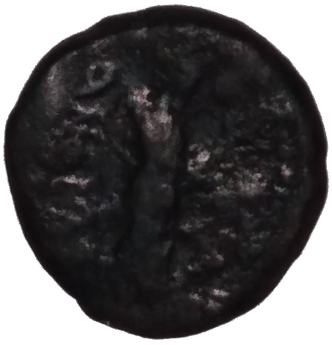 Coin reverse image