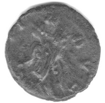 Coin reverse image