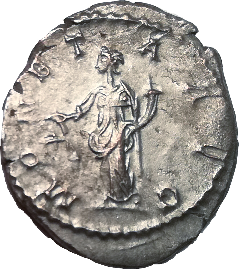 Coin reverse image