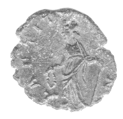 Coin reverse image