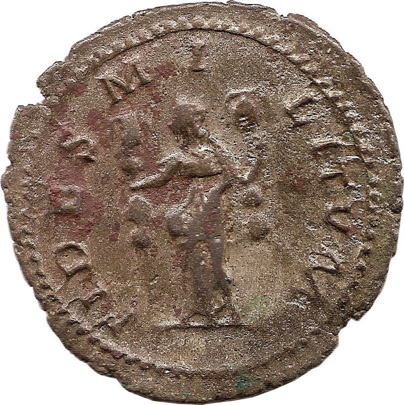 Coin reverse image